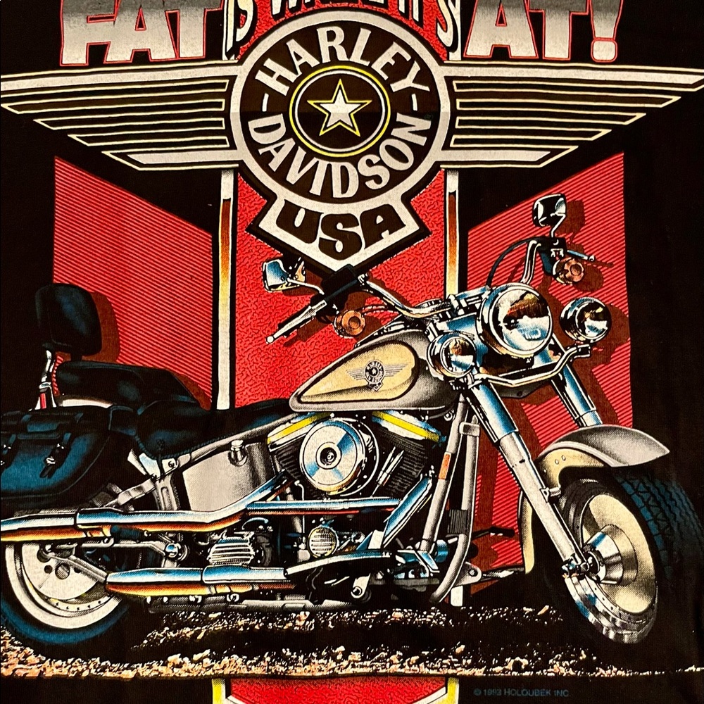 Vintage Harley Davidson Holoubeck Shirt